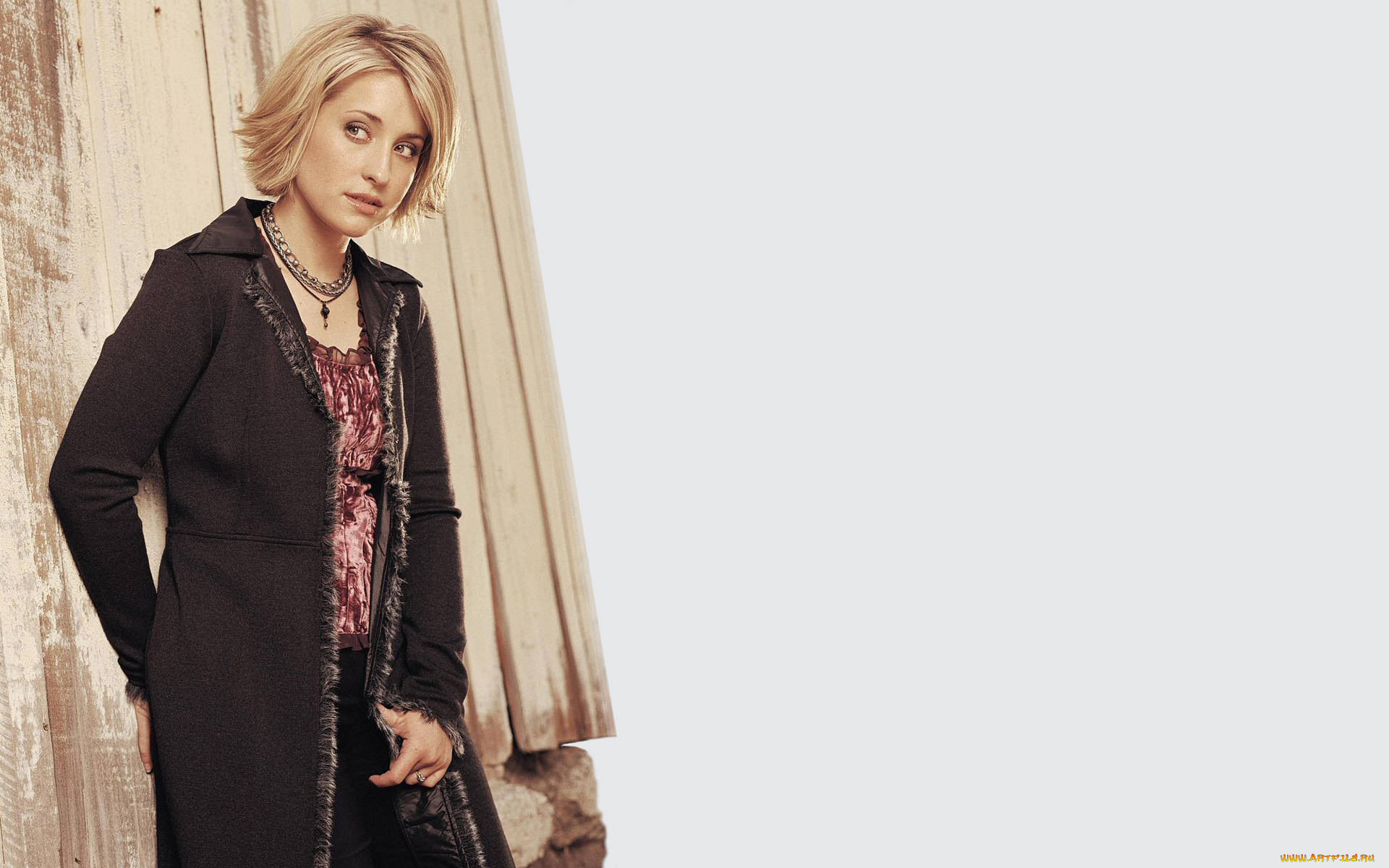 Allison Mack, , , , , 